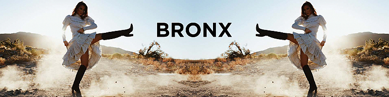 Bild-Bronx