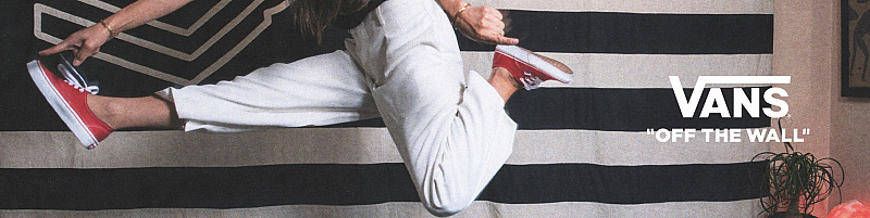 Bild-Vans